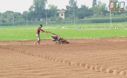 Li&ecirc;n kết sản xuất - hướng đi hiệu quả (Kỳ 1)