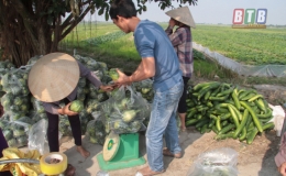 B&iacute; được m&ugrave;a, được gi&aacute;