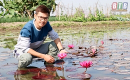 &ldquo;Vua&rdquo; hoa s&uacute;ng, sen cảnh