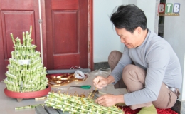 Ph&aacute;t t&agrave;i từ c&acirc;y ph&aacute;t lộc