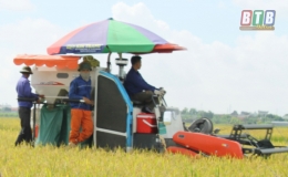 Vũ Thư: Cơ giới h&oacute;a đ&aacute;p ứng 100% kh&acirc;u l&agrave;m đất v&agrave; thu hoạch