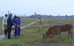 Kiến Xương huy động hơn 2,5 tỷ đồng v&agrave;o quỹ &ldquo;V&igrave; người ngh&egrave;o&rdquo; năm 2019