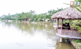 Về qu&ecirc; thả c&aacute;, nu&ocirc;i g&agrave; thu nửa tỷ đồng/năm