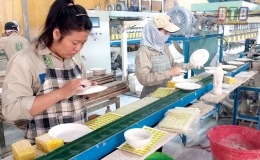 C&ocirc;ng ty Cổ phần Gốm sứ Long Hầu vượt kh&oacute; để tăng trưởng