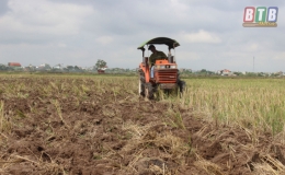 Tiền Hải: Ho&agrave;n th&agrave;nh c&agrave;y lật đất 100% diện t&iacute;ch vụ xu&acirc;n