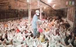 M&ocirc; h&igrave;nh chuyển đổi chăn nu&ocirc;i hiệu quả 