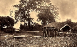 Ph&aacute;o đ&agrave;i đồng bằng