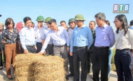 Trung t&acirc;m Khuyến n&ocirc;ng Th&aacute;i B&igrave;nh: Đẩy mạnh chuyển giao kỹ thuật chăn nu&ocirc;i tr&acirc;u, b&ograve; thương phẩm