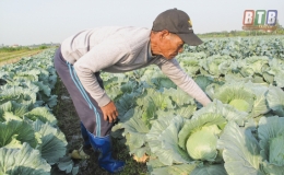 Đưa vụ đ&ocirc;ng trở th&agrave;nh vụ sản xuất ch&iacute;nh