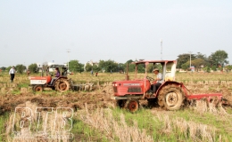 An Tr&agrave;ng: Tập trung c&agrave;y lật đất, phơi ải