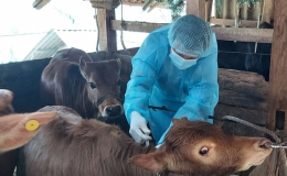 Chủ động ứng ph&oacute; r&eacute;t đậm, r&eacute;t hại v&agrave; gi&oacute; mạnh tr&ecirc;n biển