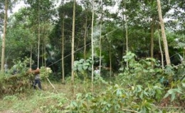 Điểm s&aacute;ng n&ocirc;ng th&ocirc;n mới ở Y&ecirc;n B&aacute;i