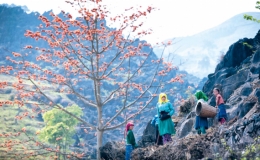 Đọc &ldquo;Gi&oacute; Thượng Ph&ugrave;ng &rdquo; 