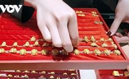 Gi&aacute; v&agrave;ng SJC trụ vững tr&ecirc;n 55 triệu đồng/lượng d&ugrave; gi&aacute; thế giới giảm s&acirc;u