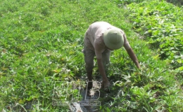 Hưng H&agrave;: Tốc độ tăng trưởng kinh tế b&igrave;nh qu&acirc;n 5 năm 2016 - 2020 vượt 2,17% mục ti&ecirc;u