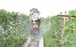  N&ocirc;ng d&acirc;n Vũ Thư ph&ograve;ng trừ s&acirc;u bệnh bảo vệ c&acirc;y vụ đ&ocirc;ng