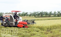 Ph&aacute;t triển n&ocirc;ng nghiệp bền vững theo hướng hữu cơ