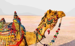 Rộn r&agrave;ng lễ hội th&aacute;ng 12 tr&ecirc;n to&agrave;n thế giới