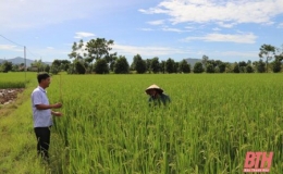 Thanh Ho&aacute;: X&atilde; Định T&acirc;n x&acirc;y dựng n&ocirc;ng th&ocirc;n mới kiểu mẫu