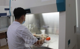 T&igrave;nh h&igrave;nh dịch Covid-19 đến ng&agrave;y 20/12