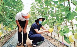 Gia L&acirc;m (H&agrave; Nội): X&acirc;y dựng n&ocirc;ng th&ocirc;n mới gắn với cơ cấu lại n&ocirc;ng nghiệp