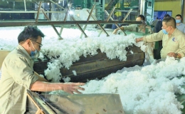 Kim ngạch xuất khẩu năm 2021 ước đạt hơn 2 tỷ USD