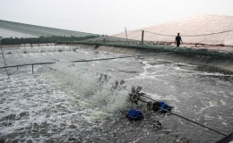 Kỳ 2: B&aacute;m biển l&agrave;m gi&agrave;u