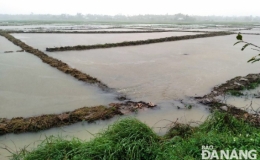 Mưa lũ g&acirc;y thiệt hại tại miền Trung, c&oacute; nơi phải sơ t&aacute;n d&acirc;n