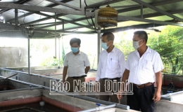 Nam Định: Hội N&ocirc;ng d&acirc;n Hải Hậu hỗ trợ hội vi&ecirc;n ph&aacute;t triển kinh tế