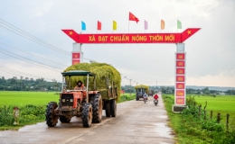 Phấn đấu 73% x&atilde; đạt chuẩn n&ocirc;ng th&ocirc;n mới năm 2022 