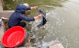 Th&ocirc;n Phương C&aacute;p, x&atilde; Hiệp H&ograve;a đ&atilde; hơn 2 th&aacute;ng thiếu nước sạch