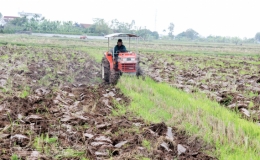 Tiền Hải: Đẩy nhanh c&agrave;y lật đất, l&agrave;m thủy lợi vụ xu&acirc;n