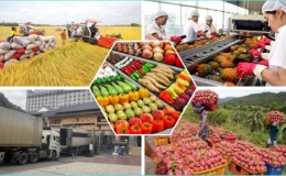 11 th&aacute;ng năm 2022: Xuất khẩu n&ocirc;ng, l&acirc;m, thủy sản vượt kỷ lục
