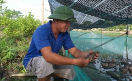 Anh Ruyện đa nghề