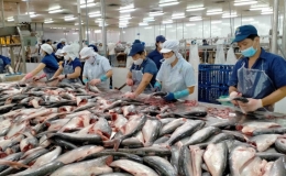 C&aacute; tra dẫn đầu c&aacute;c mặt h&agrave;ng thủy sản xuất khẩu chủ lực của Việt Nam