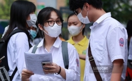 Đại học v&agrave; trường đại học kh&aacute;c nhau như thế n&agrave;o?