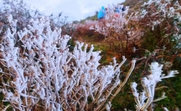 Dự b&aacute;o thời tiết 22.12: Bắc Bộ r&eacute;t s&acirc;u, c&oacute; khả năng xuất hiện băng gi&aacute;