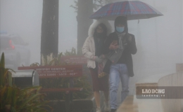 Dự b&aacute;o thời tiết 9.12: Miền Bắc tiếp tục mưa r&eacute;t, c&oacute; nơi 9 độ C