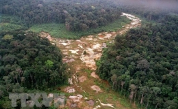 H&agrave;nh tr&igrave;nh 25 năm t&igrave;m kiếm giải ph&aacute;p ứng ph&oacute; n&oacute;ng l&ecirc;n to&agrave;n cầu