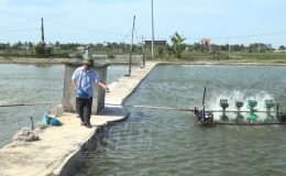 L&iacute;nh cựu tr&ecirc;n mặt trận ph&aacute;t triển kinh tế