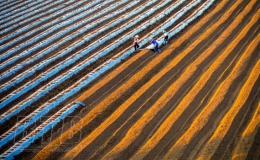  Ph&ugrave; sa ch&acirc;u thổ