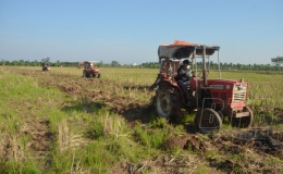  Quỳnh Phụ: Triển khai đề &aacute;n sản xuất vụ xu&acirc;n, vụ h&egrave; năm 2023