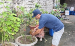 Th&aacute;i B&igrave;nh đ&atilde; ghi nhận hơn 620 ca mắc sốt xuất huyết