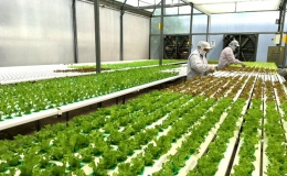 Tuy&ecirc;n Quang: Chuyển đổi số, x&acirc;y dựng n&ocirc;ng nghiệp th&ocirc;ng minh đẩy nhanh tiến tr&igrave;nh x&acirc;y dựng N&ocirc;ng th&ocirc;n mới