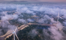 Vẻ đẹp huyền ảo tr&ecirc;n 'c&aacute;nh đồng' điện gi&oacute; ở B&igrave;nh Định