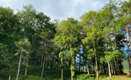 Y&ecirc;n B&aacute;i kỷ luật nhiều tổ chức v&agrave; đảng vi&ecirc;n