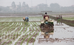 Chủ động sản xuất vụ xu&acirc;n