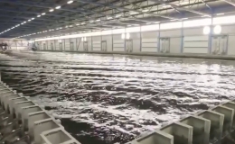 Đại dương trong nh&agrave; lớn nhất thế giới