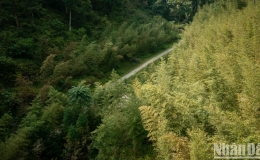 "L&agrave;ng địa ngục" trong m&acirc;y