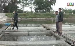  N&ocirc;ng d&acirc;n Th&aacute;i Thụy ph&ograve;ng, chống r&eacute;t cho  thủy sản